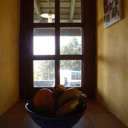 Finca Los Vientos * Breña Alta